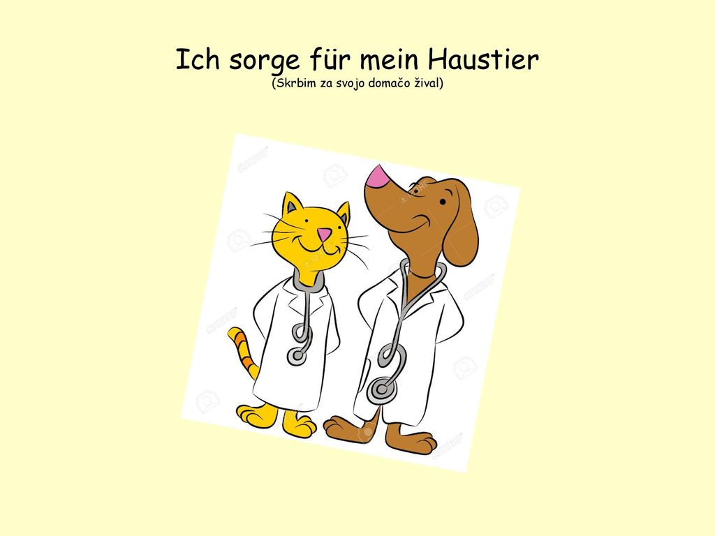 Ich sorge für mein Haustier (Skrbim za svojo domačo žival)