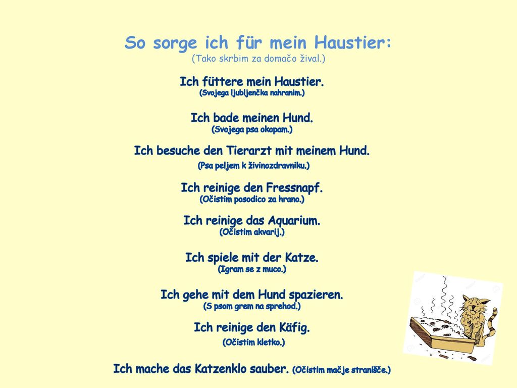 So sorge ich für mein Haustier: (Tako skrbim za domačo žival.)