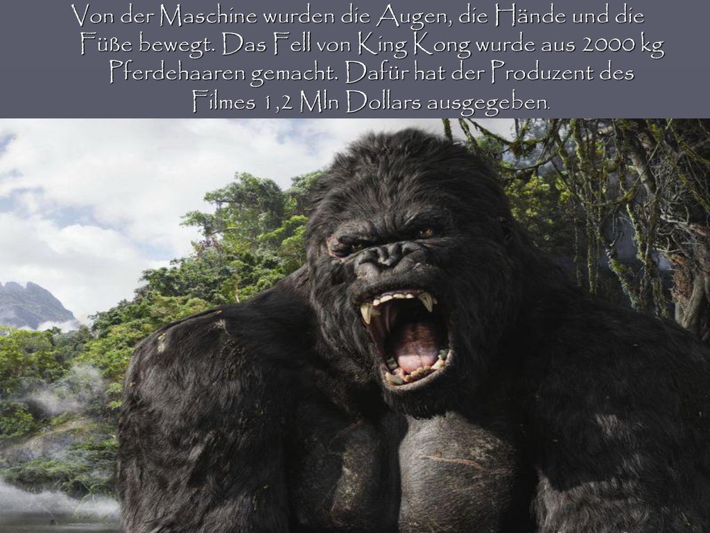 Von der Maschine wurden die Augen, die Hände und die Füße bewegt