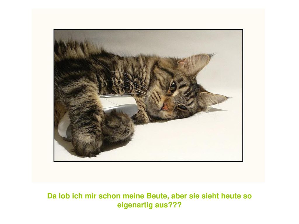 Da lob ich mir schon meine Beute, aber sie sieht heute so eigenartig aus