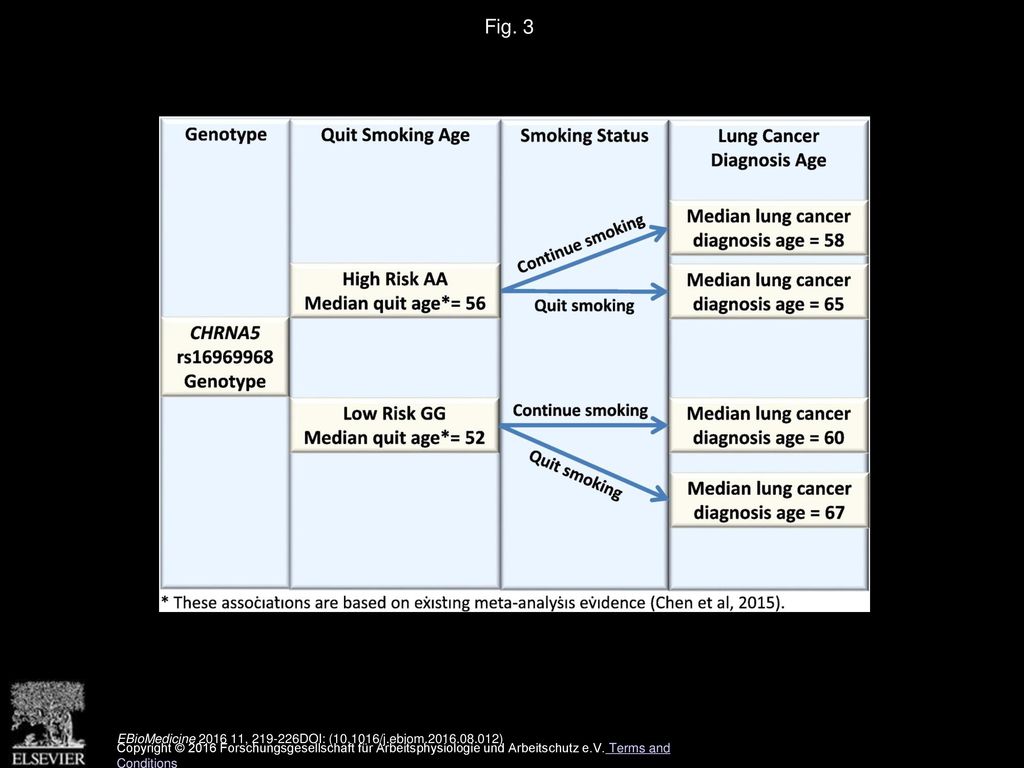 Fig. 3 Summary diagram of CHRNA5 rs genotypes, smoking cessation, and lung cancer risks.