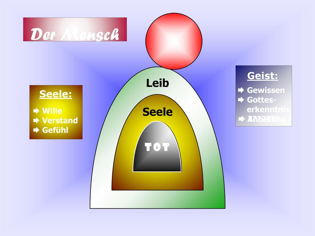 Der Mensch Leib Seele Geist T O T Geist: Seele: