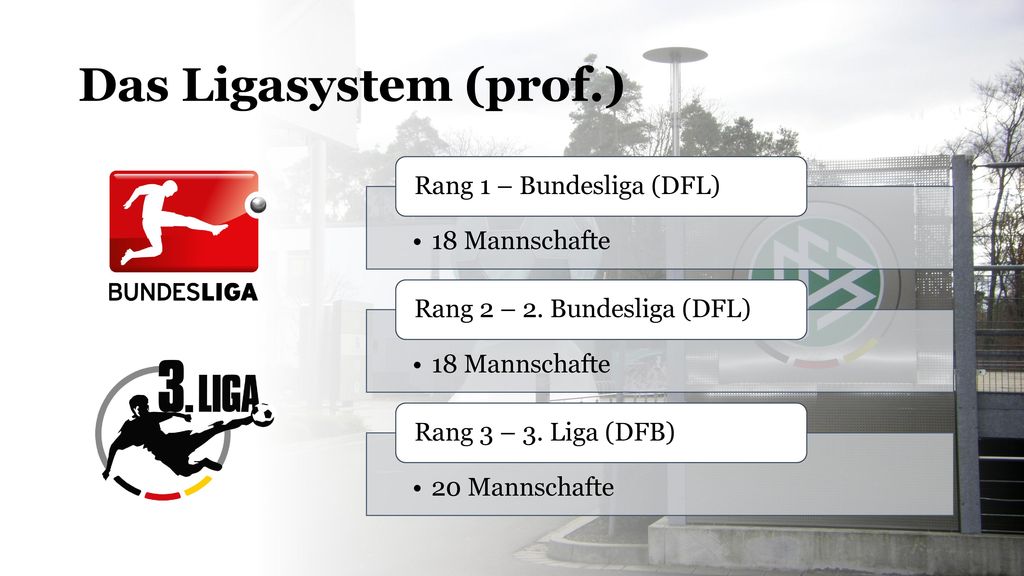 Das Ligasystem (prof.) Rang 1 – Bundesliga (DFL) 18 Mannschafte