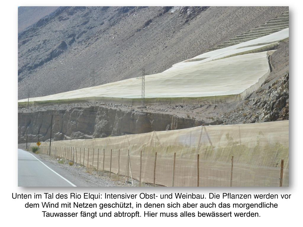 Unten im Tal des Rio Elqui: Intensiver Obst- und Weinbau