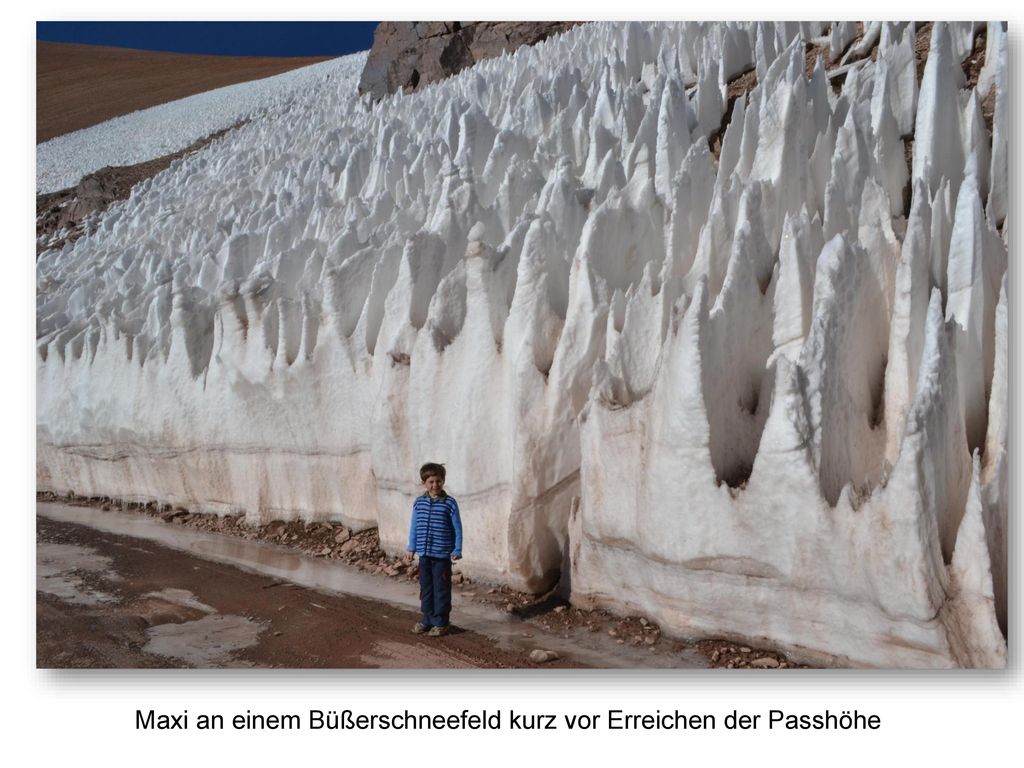Maxi an einem Büßerschneefeld kurz vor Erreichen der Passhöhe