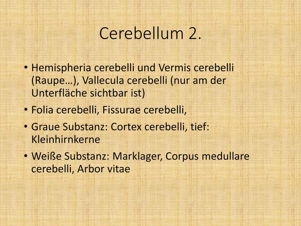 Cerebellum 2. Hemispheria cerebelli und Vermis cerebelli (Raupe…), Vallecula cerebelli (nur am der Unterfläche sichtbar ist)