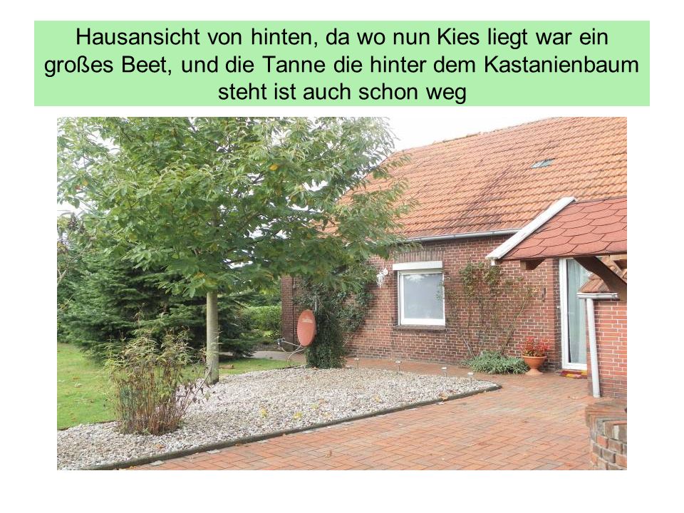 Hausansicht von hinten, da wo nun Kies liegt war ein großes Beet, und die Tanne die hinter dem Kastanienbaum steht ist auch schon weg