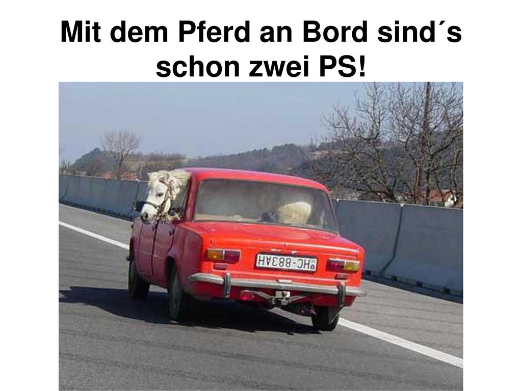 Mit dem Pferd an Bord sind´s schon zwei PS!