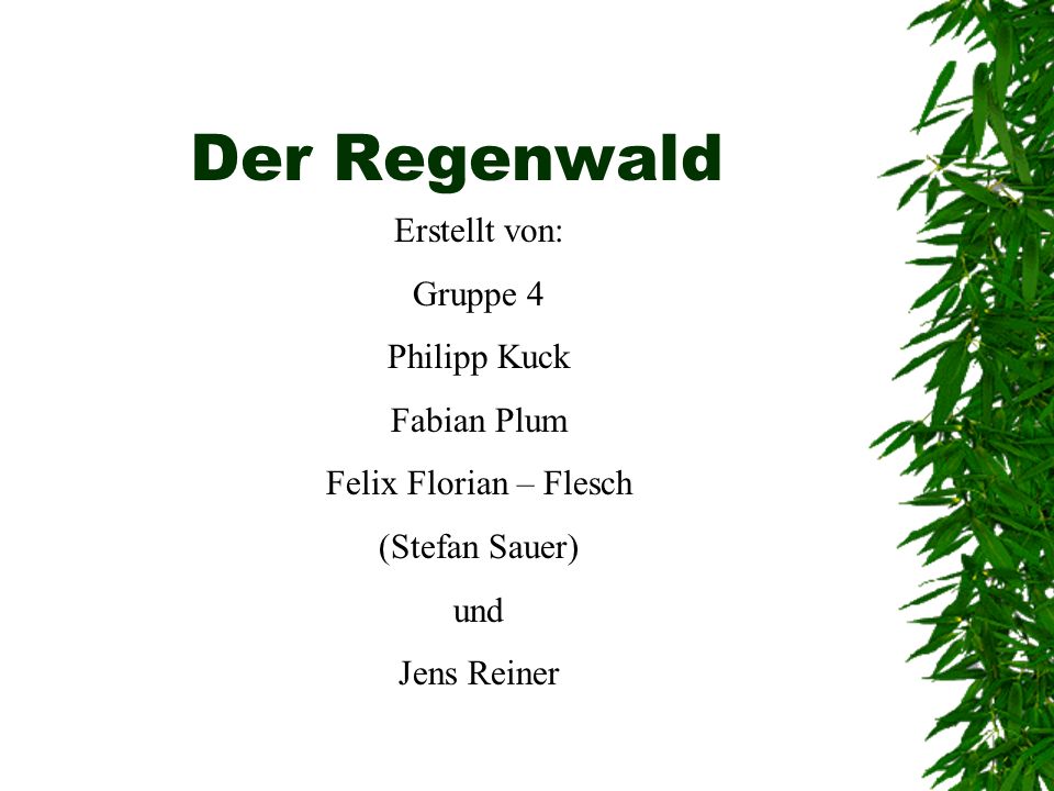 Der Regenwald Erstellt von: Gruppe 4 Philipp Kuck Fabian Plum