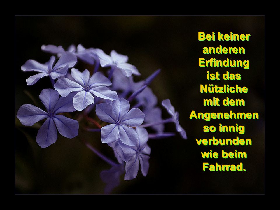 Bei keiner anderen. Erfindung. ist das. Nützliche. mit dem. Angenehmen. so innig. verbunden.