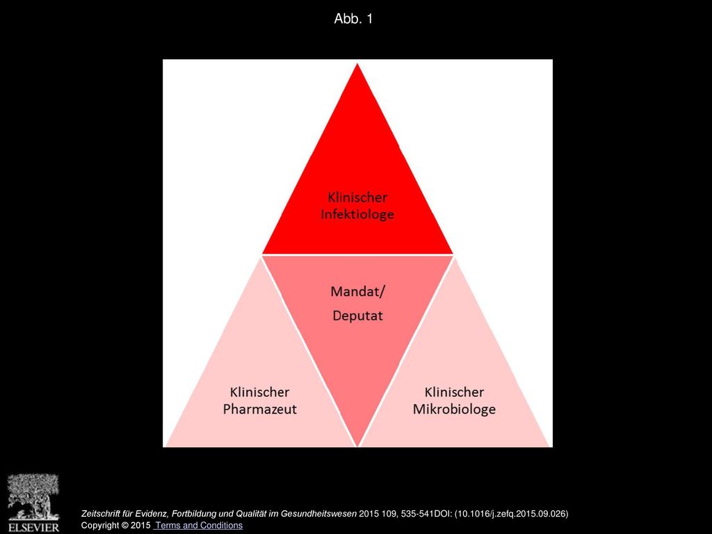 Abb. 1 Aufbau und Struktur des Antibiotic Stewardship–Teams am UKSH