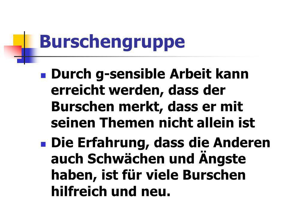 Burschengruppe Durch g-sensible Arbeit kann erreicht werden, dass der Burschen merkt, dass er mit seinen Themen nicht allein ist.