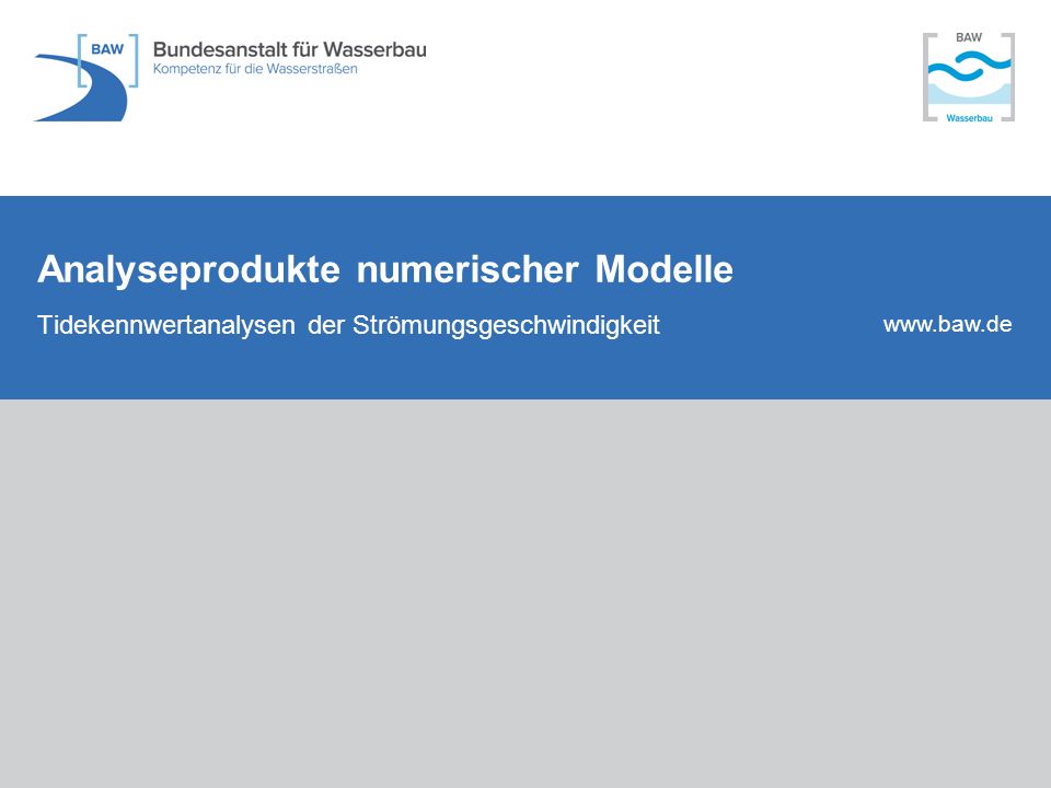 Analyseprodukte numerischer Modelle