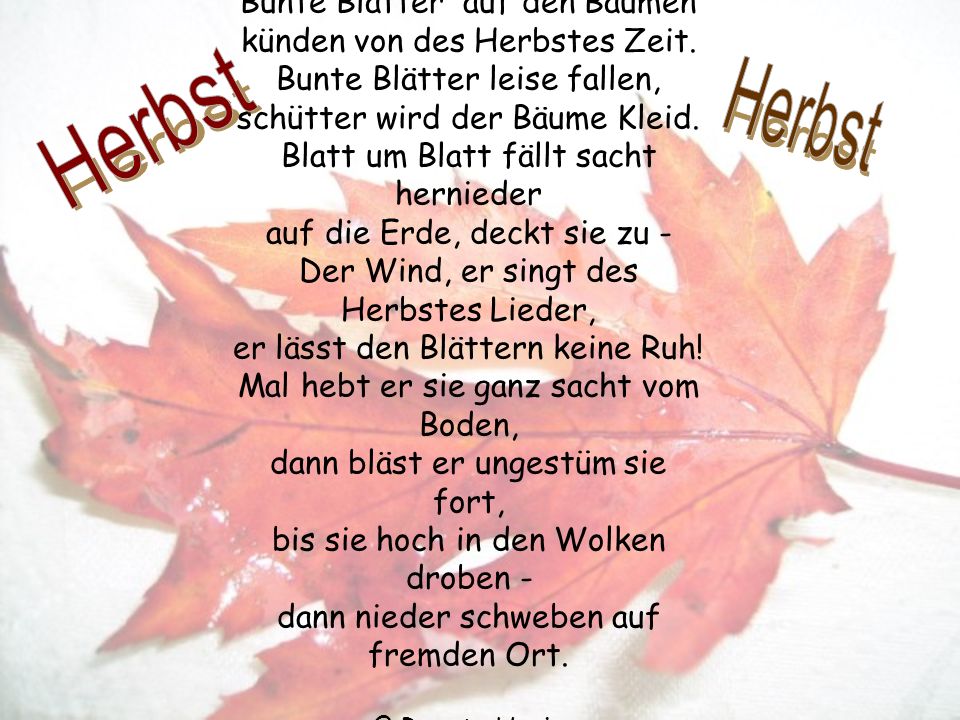 Bunte Blätter auf den Bäumen künden von des Herbstes Zeit