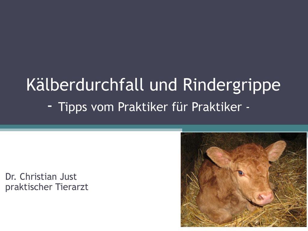 Kälberdurchfall und Rindergrippe - Tipps vom Praktiker für Praktiker -