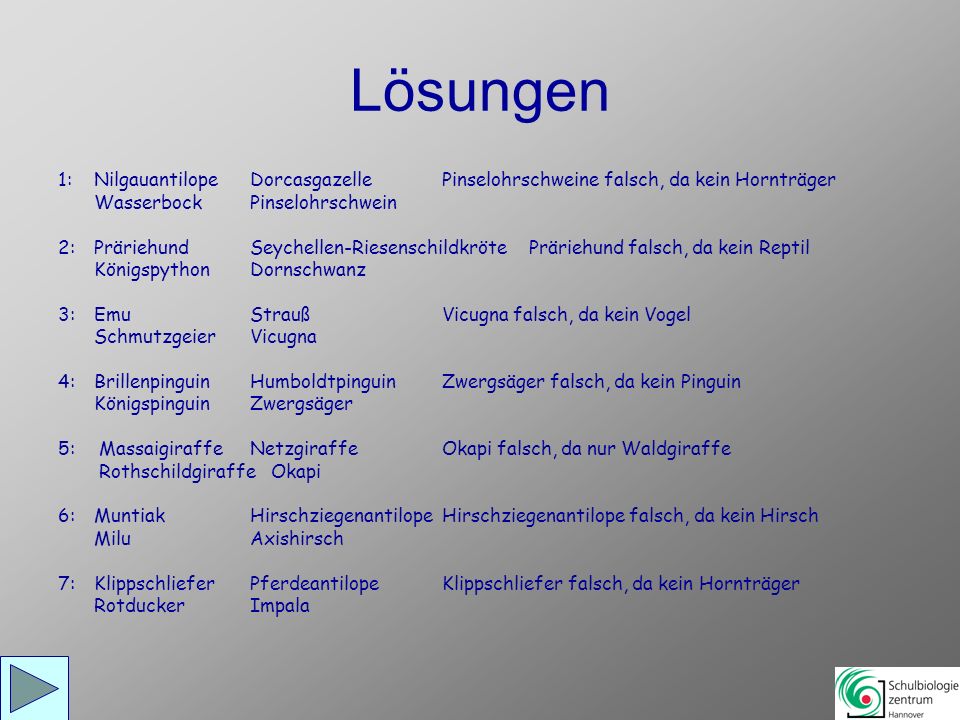 Lösungen 1: Nilgauantilope Dorcasgazelle Pinselohrschweine falsch, da kein Hornträger. Wasserbock Pinselohrschwein.
