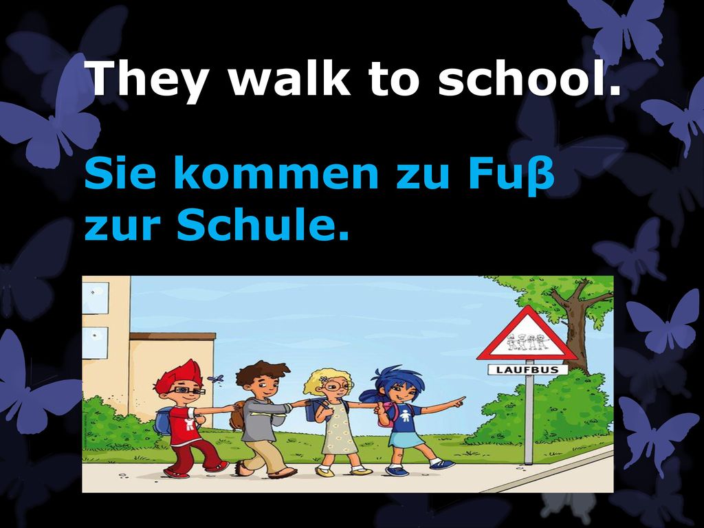 They walk to school. Sie kommen zu Fuβ zur Schule.