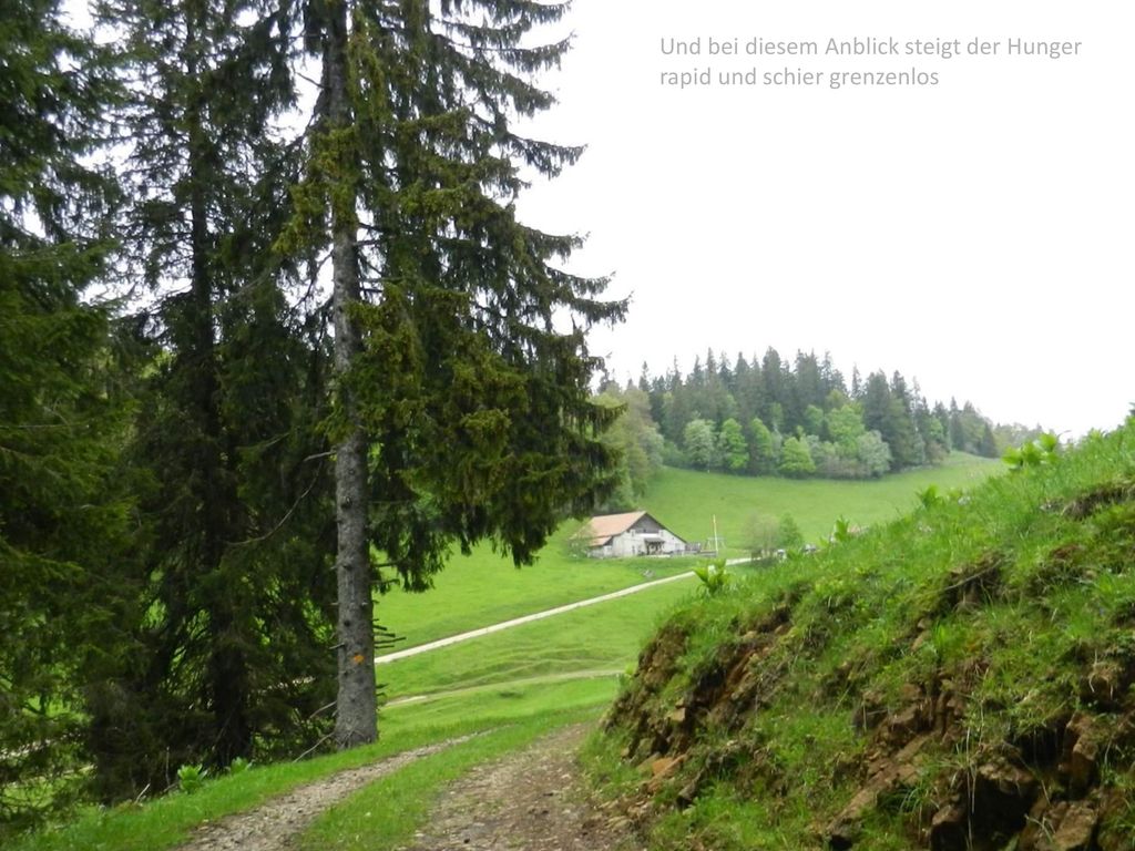 Und bei diesem Anblick steigt der Hunger rapid und schier grenzenlos