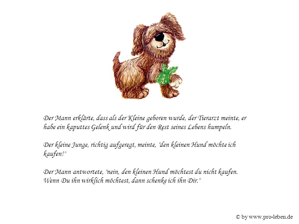 Der Mann antwortete, nein, den kleinen Hund möchtest du nicht kaufen.