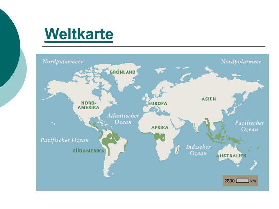 Weltkarte
