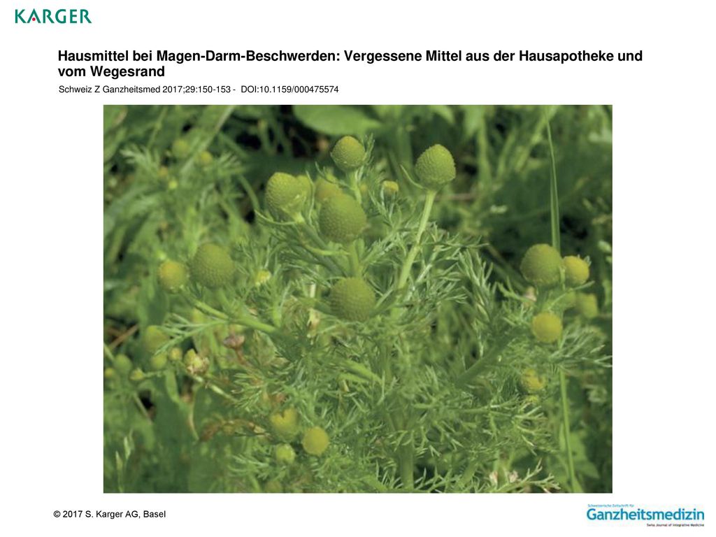 Hausmittel bei Magen-Darm-Beschwerden: Vergessene Mittel aus der Hausapotheke und vom Wegesrand