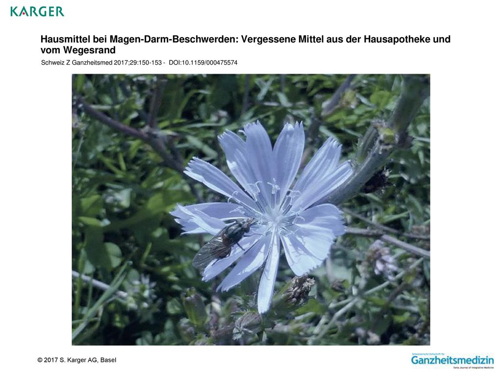 Hausmittel bei Magen-Darm-Beschwerden: Vergessene Mittel aus der Hausapotheke und vom Wegesrand