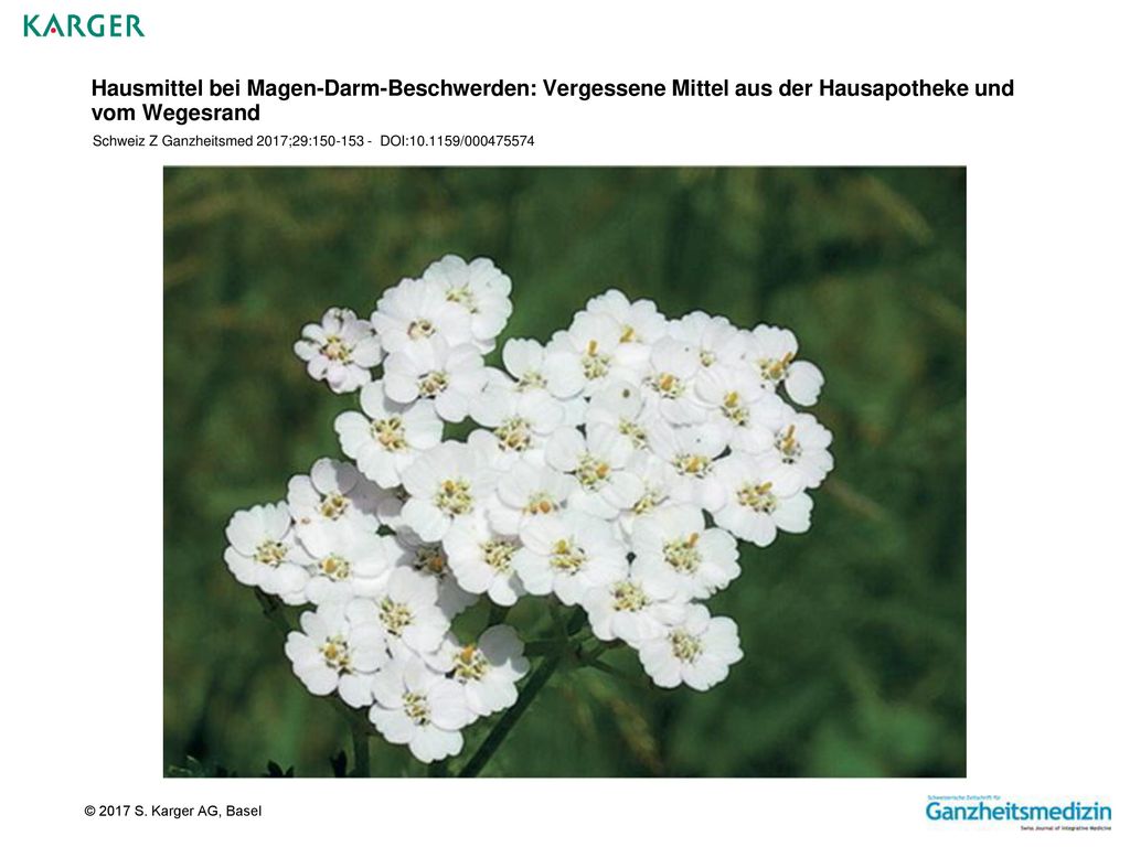 Hausmittel bei Magen-Darm-Beschwerden: Vergessene Mittel aus der Hausapotheke und vom Wegesrand