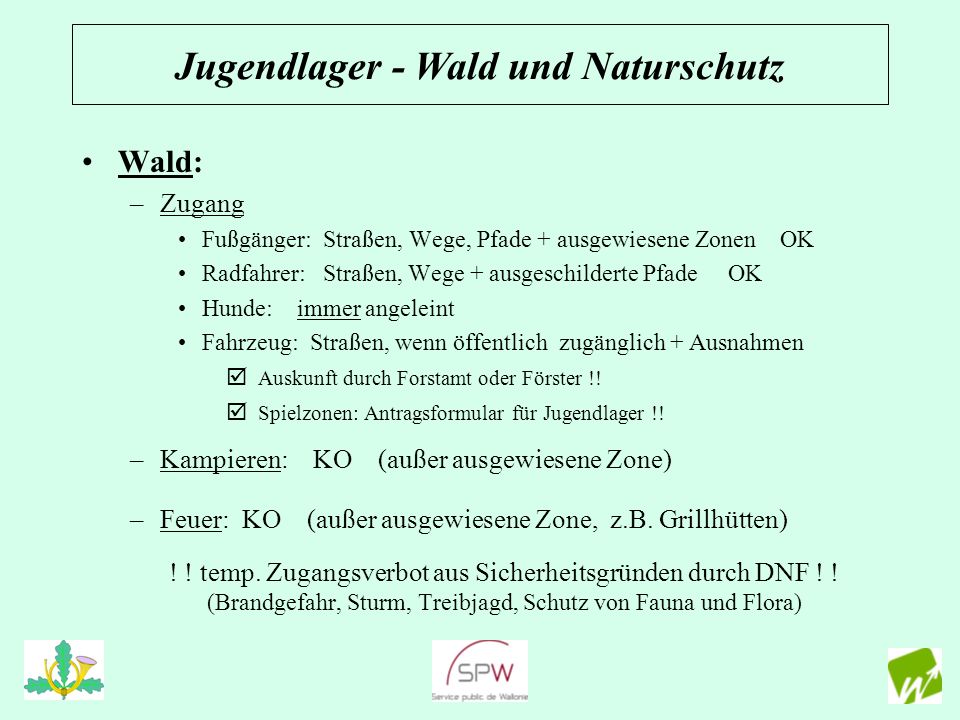 Jugendlager - Wald und Naturschutz