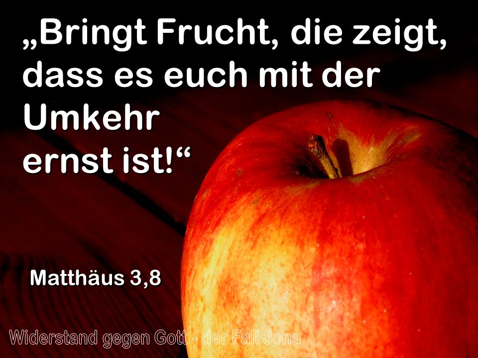 „Bringt Frucht, die zeigt, dass es euch mit der Umkehr ernst ist!