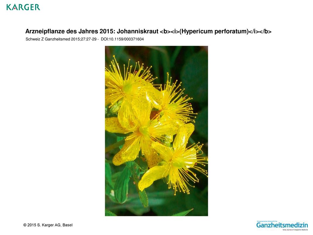 Arzneipflanze des Jahres 2015: Johanniskraut <b><i>(Hypericum perforatum)</i></b> Schweiz Z Ganzheitsmed 2015;27: DOI: /