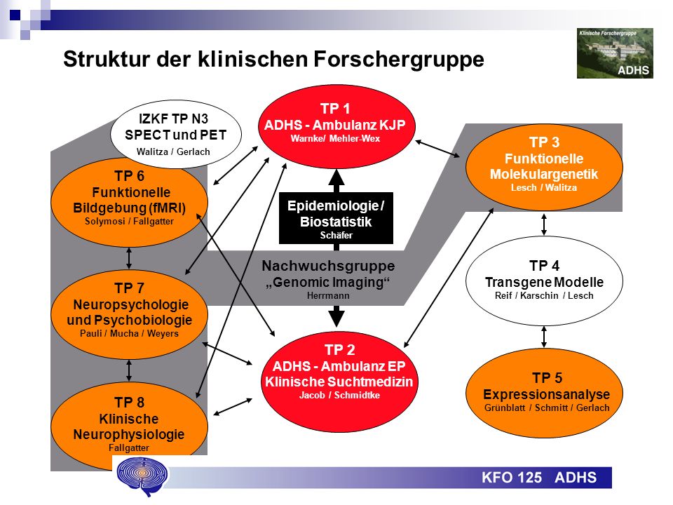 Klinische Suchtmedizin Grünblatt / Schmitt / Gerlach