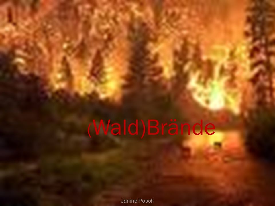 (Wald)Brände Janine Posch