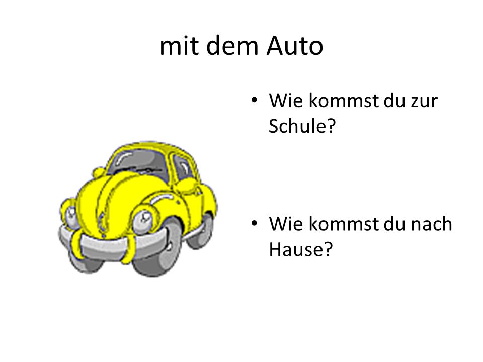 mit dem Auto Wie kommst du zur Schule Wie kommst du nach Hause