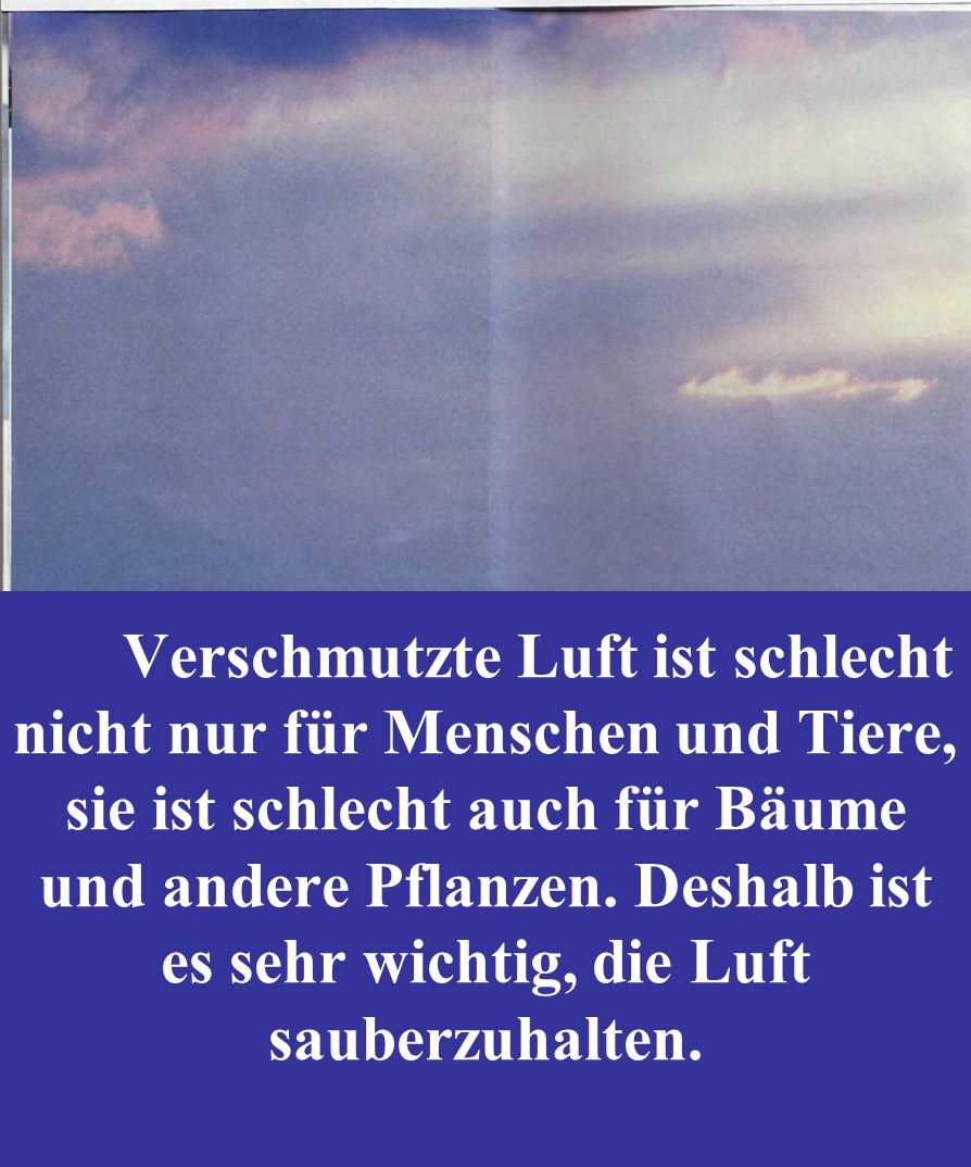 Verschmutzte Luft ist schlecht nicht nur für Menschen und Tiere, sie ist schlecht auch für Bäume und andere Pflanzen. Deshalb ist es sehr wichtig, die Luft sauberzuhalten.