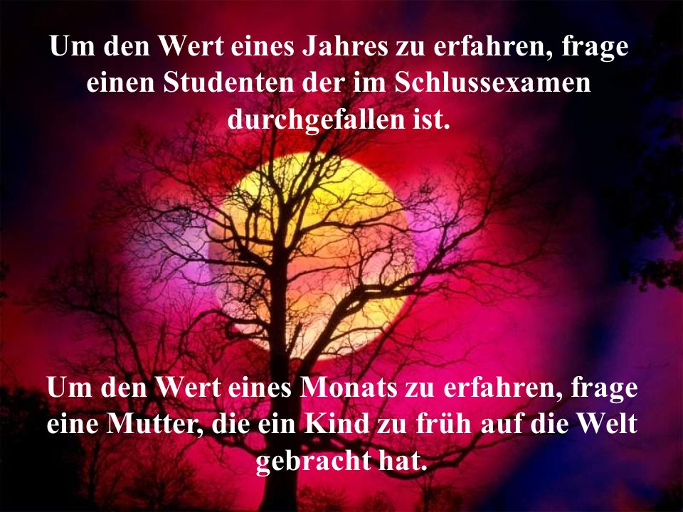 Um den Wert eines Jahres zu erfahren, frage einen Studenten der im Schlussexamen durchgefallen ist.
