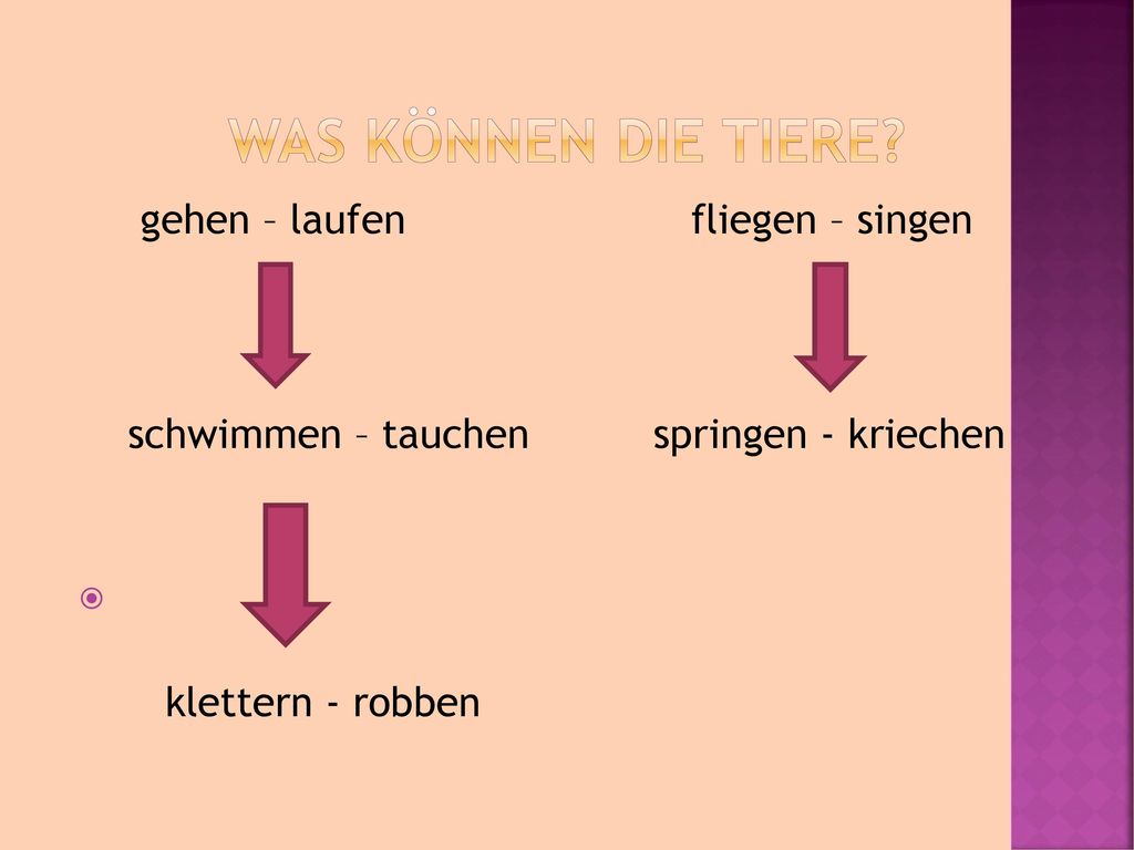 Was können die Tiere gehen – laufen fliegen – singen