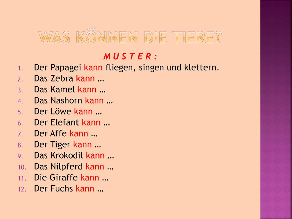 Was können die Tiere M U S T E R :