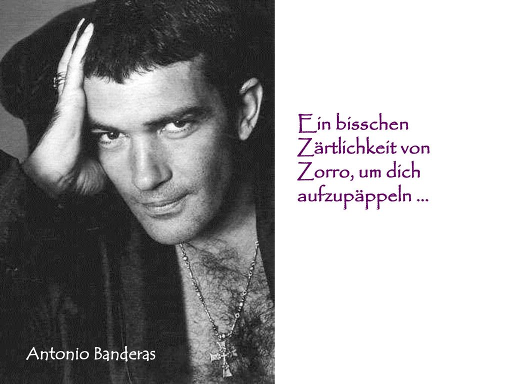 Ein bisschen Zärtlichkeit von Zorro, um dich aufzupäppeln ...