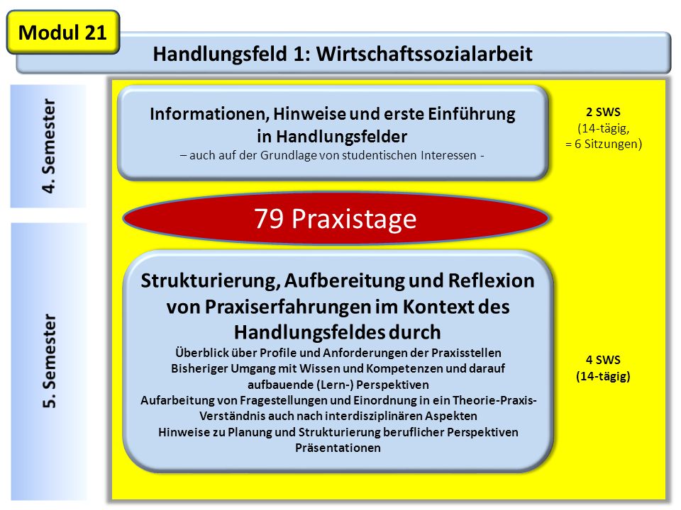 79 Praxistage Modul 21 Handlungsfeld 1: Wirtschaftssozialarbeit
