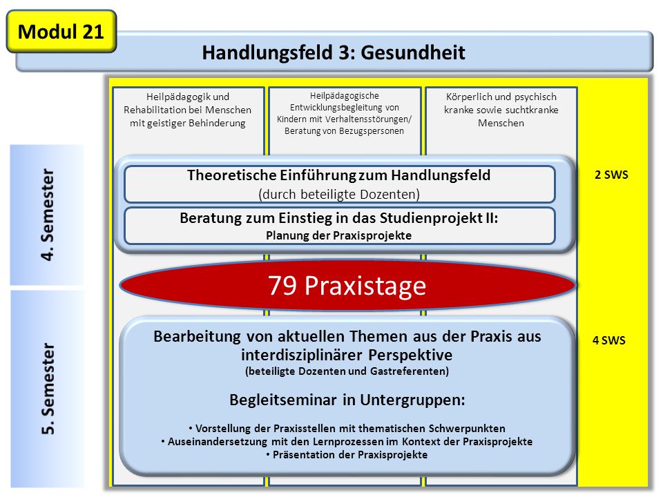 79 Praxistage Modul 21 Handlungsfeld 3: Gesundheit 4. Semester