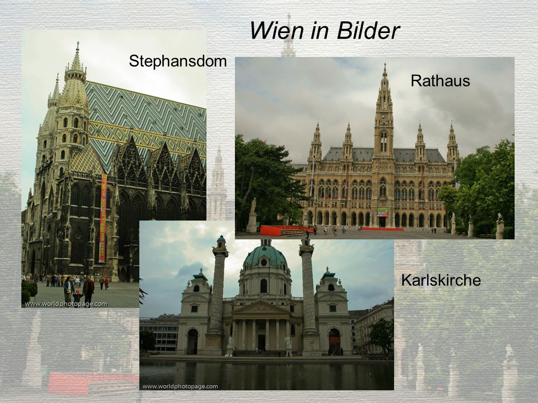 Wien in Bilder Stephansdom Rathaus Karlskirche