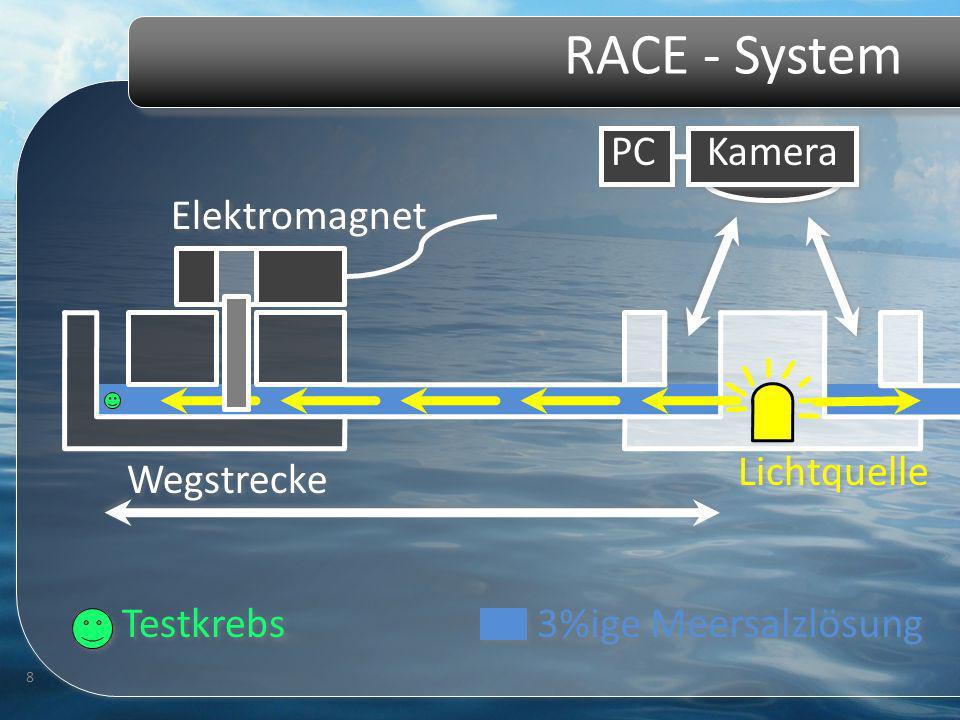 RACE - System RACE System im realen Aufbau PC / Programm