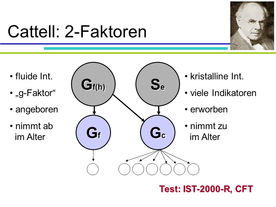 Cattell: 2-Faktoren Gf(h) Se Gf Gc fluide Int. „g-Faktor angeboren