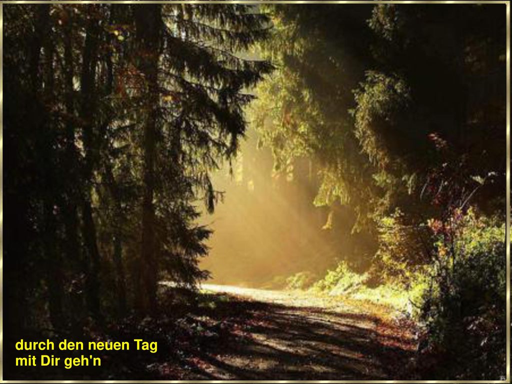 durch den neuen Tag mit Dir geh n