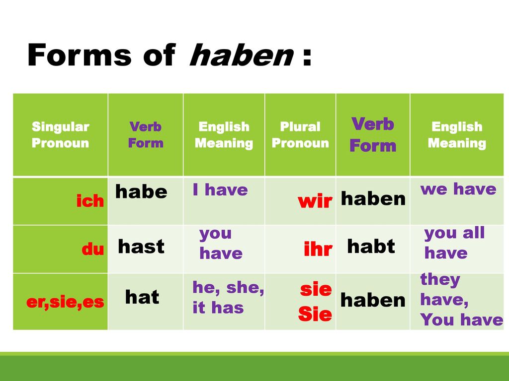 Forms of haben : wir ihr sie Sie habe haben hast habt hat haben ich du