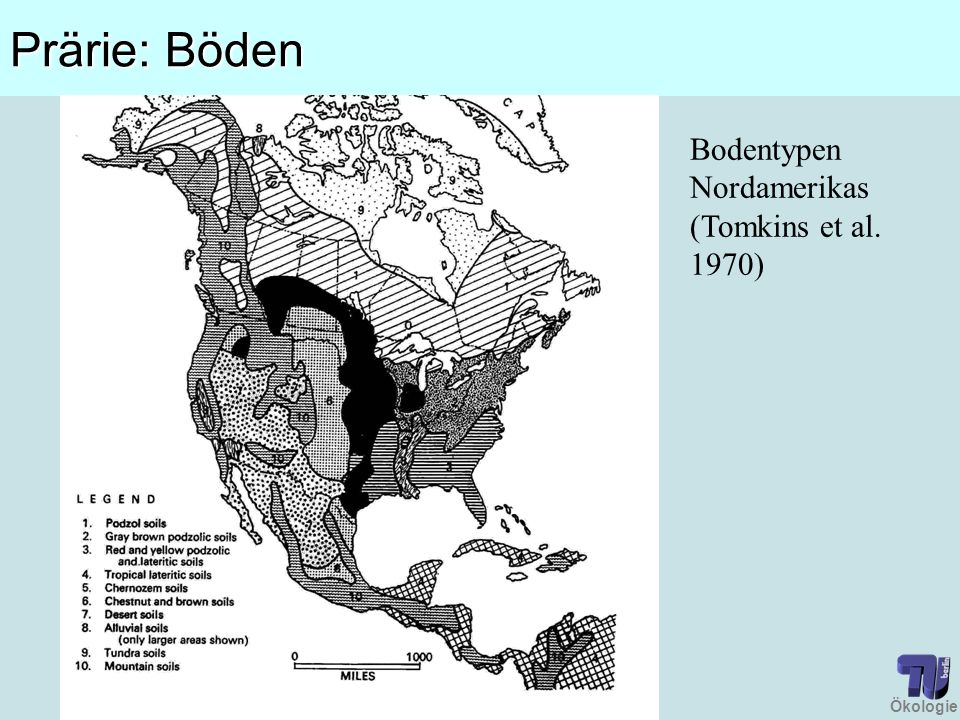 Prärie: Böden Bodentypen Nordamerikas (Tomkins et al. 1970)