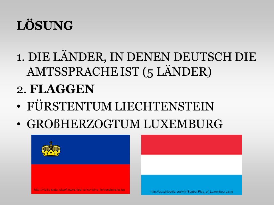 1. DIE LÄNDER, IN DENEN DEUTSCH DIE AMTSSPRACHE IST (5 LÄNDER)
