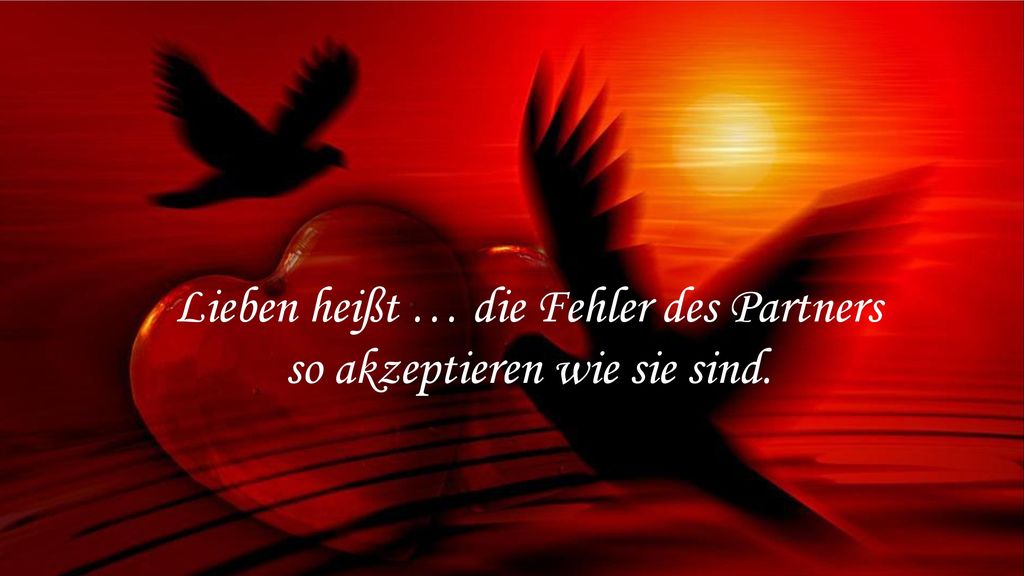 Lieben heißt … die Fehler des Partners so akzeptieren wie sie sind.