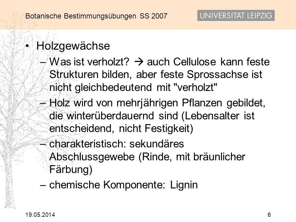 Holzgewächse Was ist verholzt  auch Cellulose kann feste Strukturen bilden, aber feste Sprossachse ist nicht gleichbedeutend mit verholzt