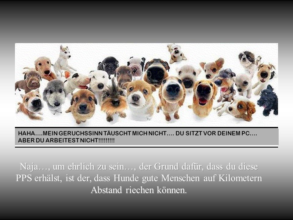 Naja…, um ehrlich zu sein…, der Grund dafür, dass du diese